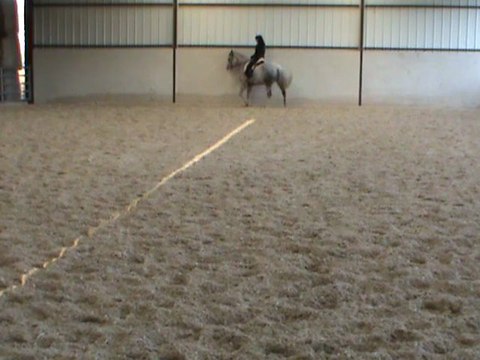 M2U01581 hanches G en dedans en demandant plus de rassemblé