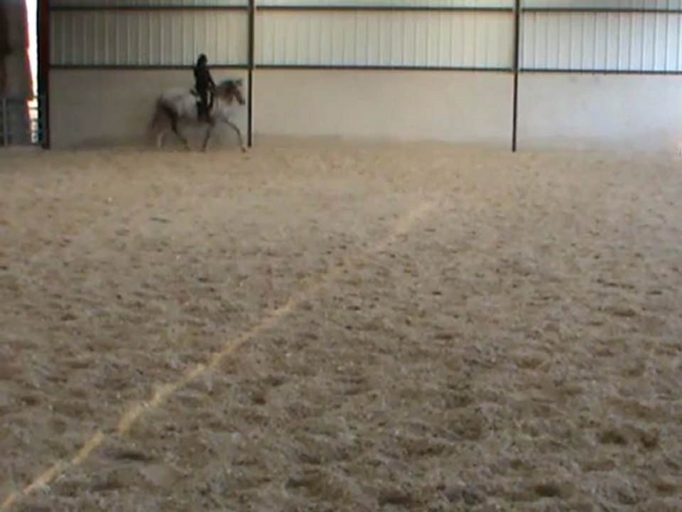 M2U01549 EED D au trot