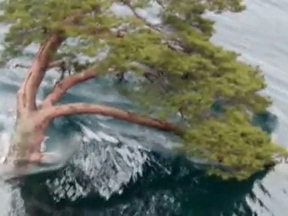 Japan.2011.Das.Jahrhundertbeben.