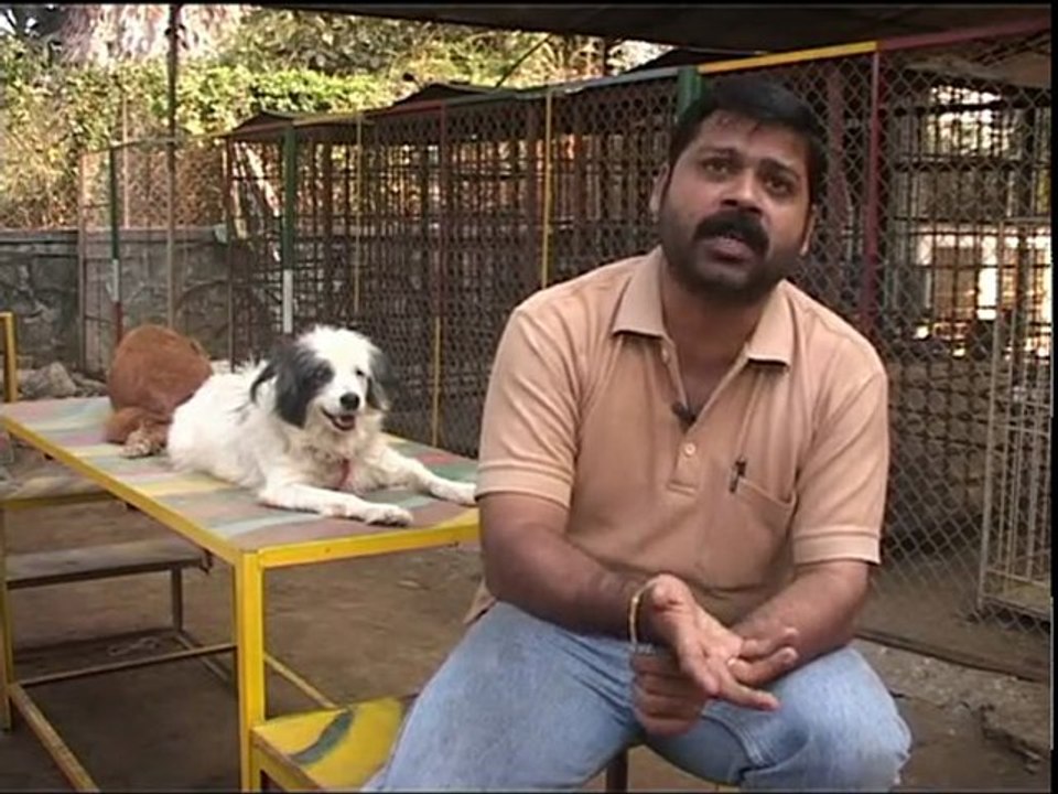 Allabt Animals EPisode 1.2
