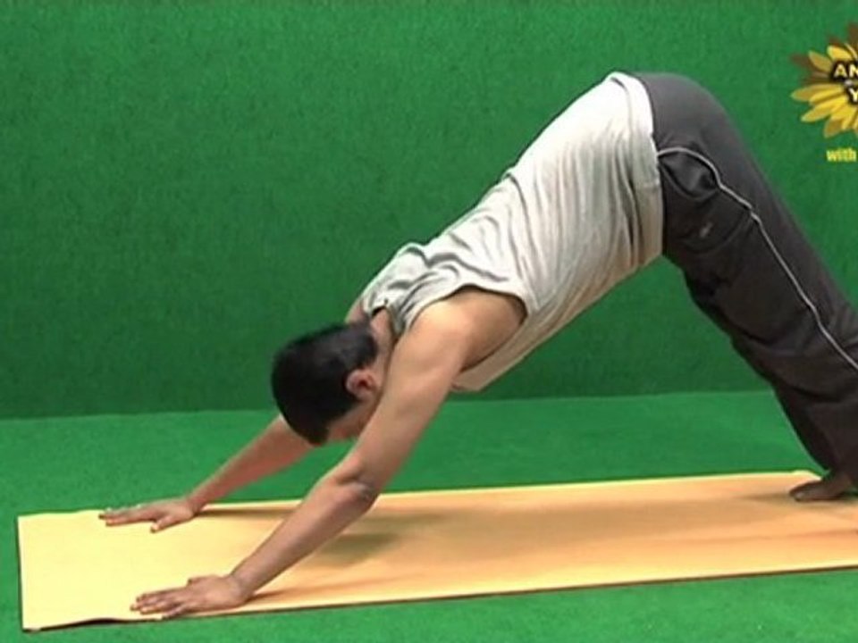 Tibetan yoga 5 rites -- Rite 5