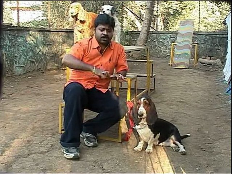 Basset episode 2 part-1