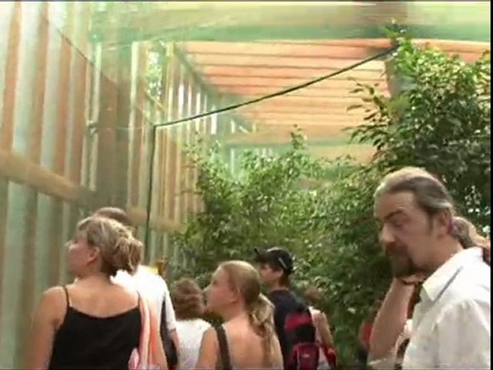 zoo 2 nautanki