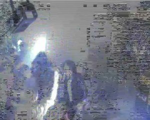 Hommage : "The Ramones" Live à Laurière, Villefranche de Rouergue