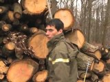 Forestiers par nature : Technico-commercial bois