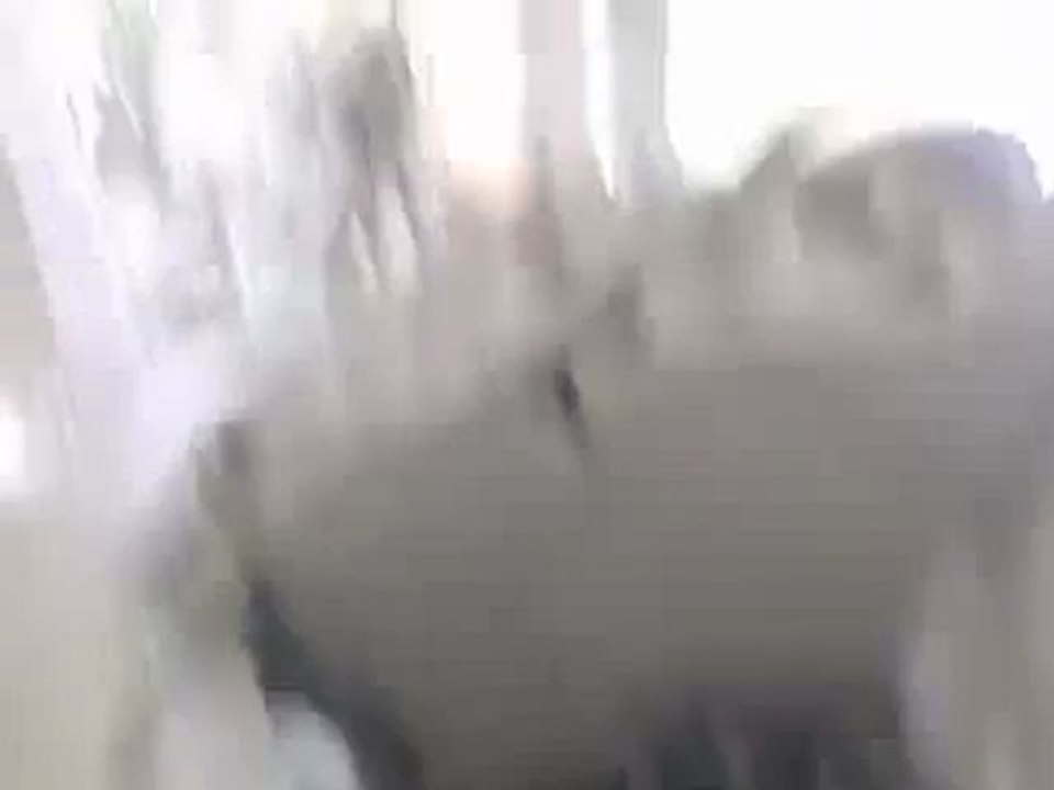 فري برس  حمص  الرستن  تهديم المنازل  22 2 2012