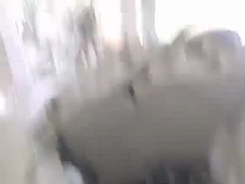 فري برس حمص الرستن تهديم المنازل 22 2 2012