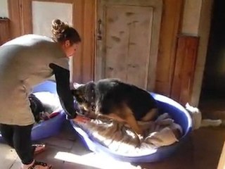 Téléchargement Janvier 2012 2708