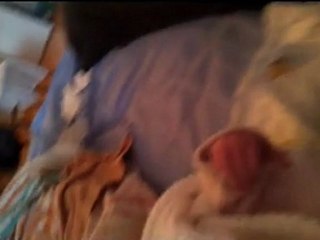 luna muy despierta por la tarde