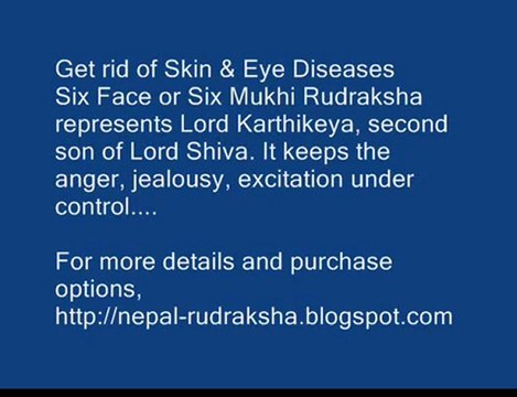 Rudram Chamakam - YouTube