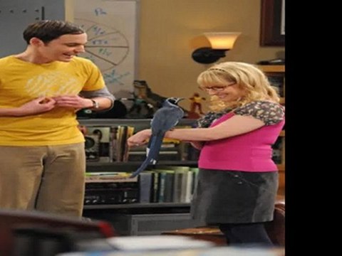 The Big Bang Theory 5x18 (The Werewolf Transformation) - watch full video