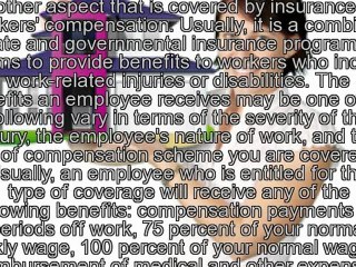 Business Insurance Plans Companies Can Choose From