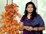 jyothi(Thilothama) - Fav Cuisine,Telugu Movie Film Actress,Thilothama,film,hot