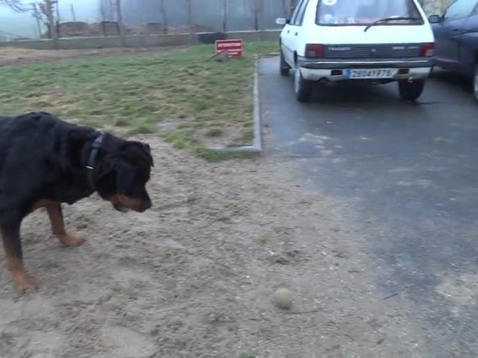 TESS et sa balle