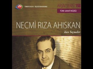 NECMi RIZA AHISKAN - ada sahilleri