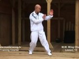 How to do Wing Chun lesson 13- basic leg_ hand combination_ moving forward with straight punch