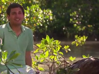 Colton--I'm The King (Feb 22, 2012)