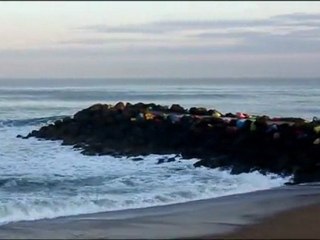 Vendredi 24 Février  surf report vidéo de 08h30