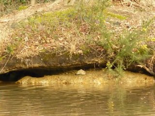 C'est un parc en hiver par colniegian