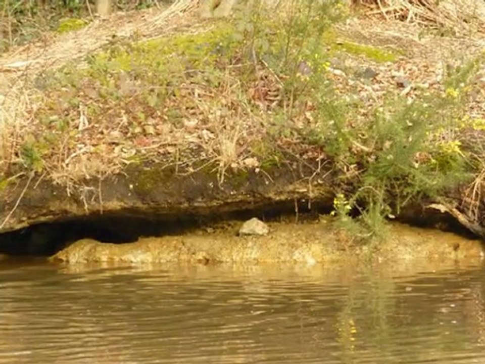 C'est un parc en hiver par colniegian