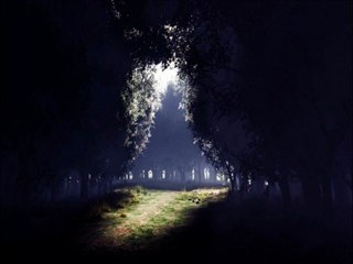 Muhammed Acar - Yalnızlıkla Muhabbetim Var Bu Gece