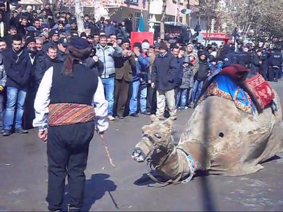 Bayburt Rehberi - 21 ŞUBAT 2012  - DEVE OYUNU