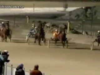 love stands at a horse race