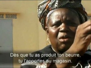 Mali - Production de karité