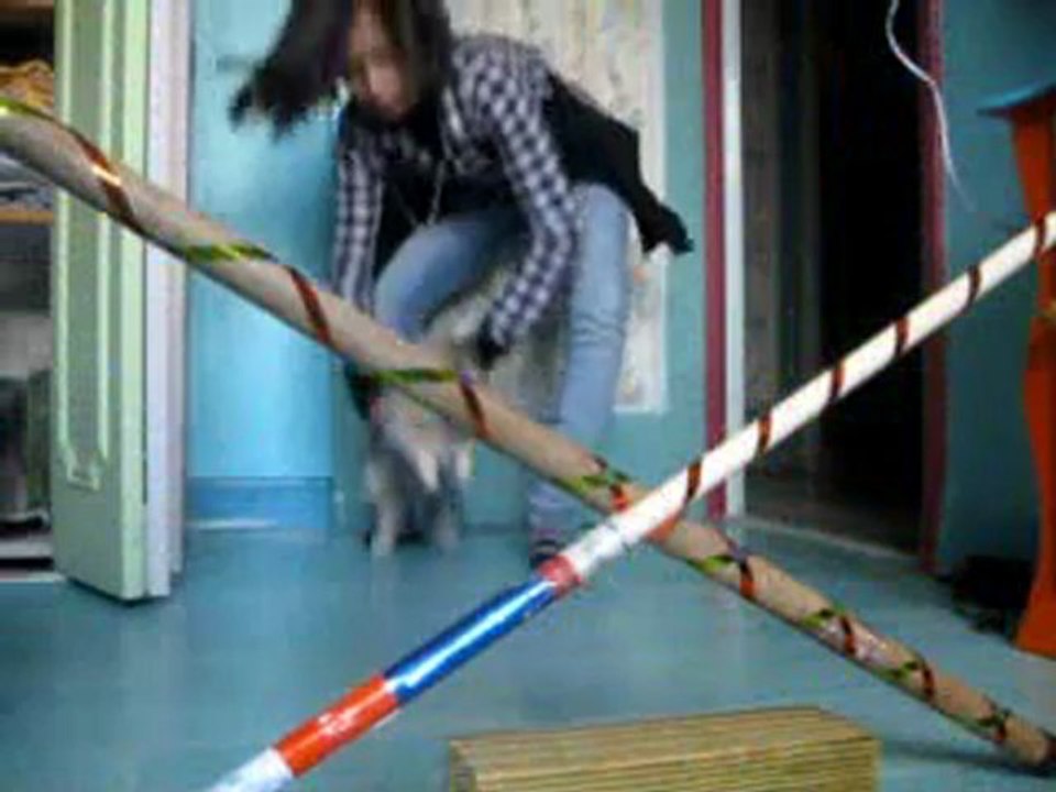 Kaninhop avec Trésor :)