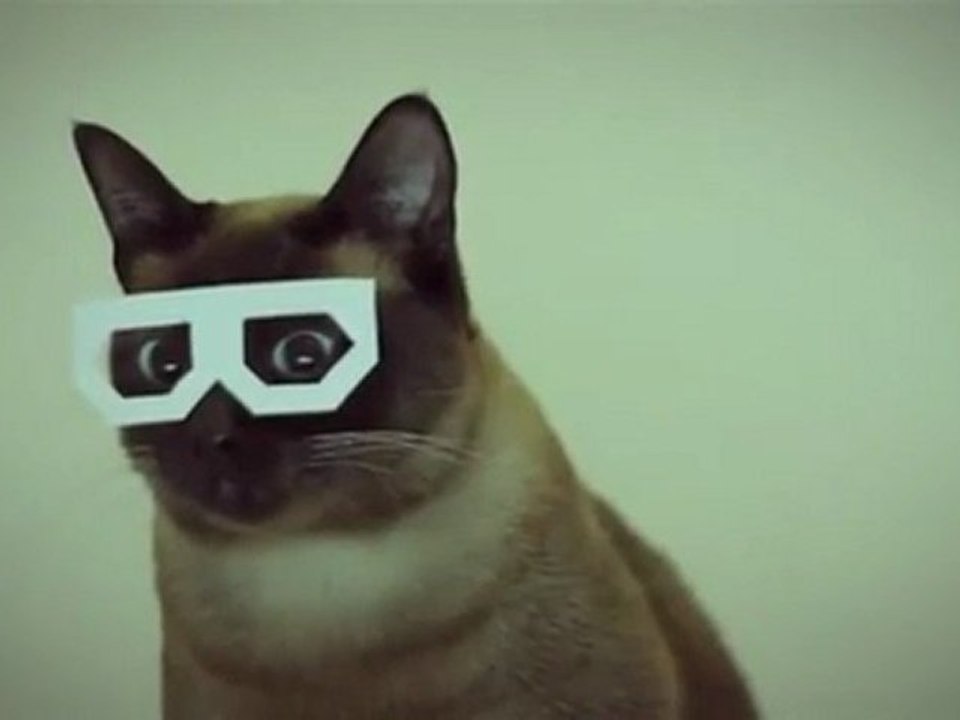 Dubstep Hipster Cat
