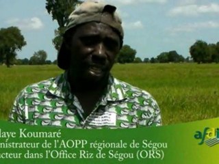 Mali - Production rizicole