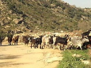 Casa Rural - Real de San Vicente, Toledo - La Cabezuela