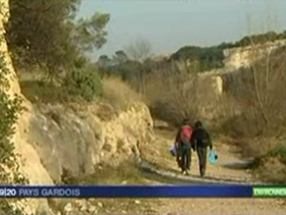 Opération de nettoyage des figuiers de Barbarie à Collias le 17-01-2012