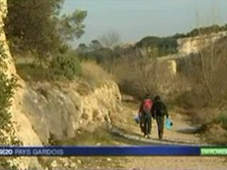 Opération de nettoyage des figuiers de Barbarie à Collias le 17-01-2012