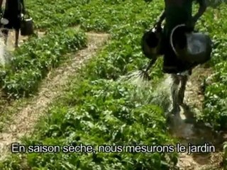 Burkina - Conseil à l'exploitation familiale