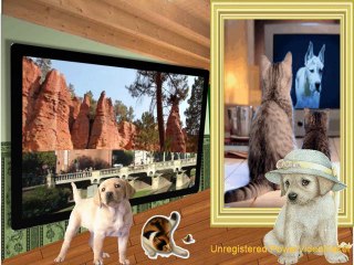 je viens du sud ..M.Sardou-02-24-14-33_wmv