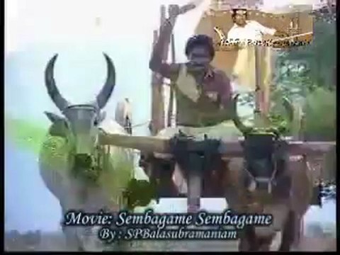 Manja Podhi...PAKEE Creation