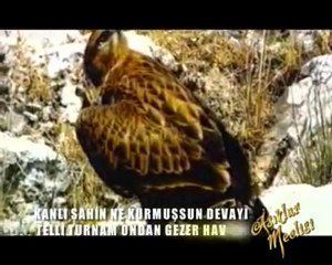 MEVLÜD İHSANİ NİN HAYATI