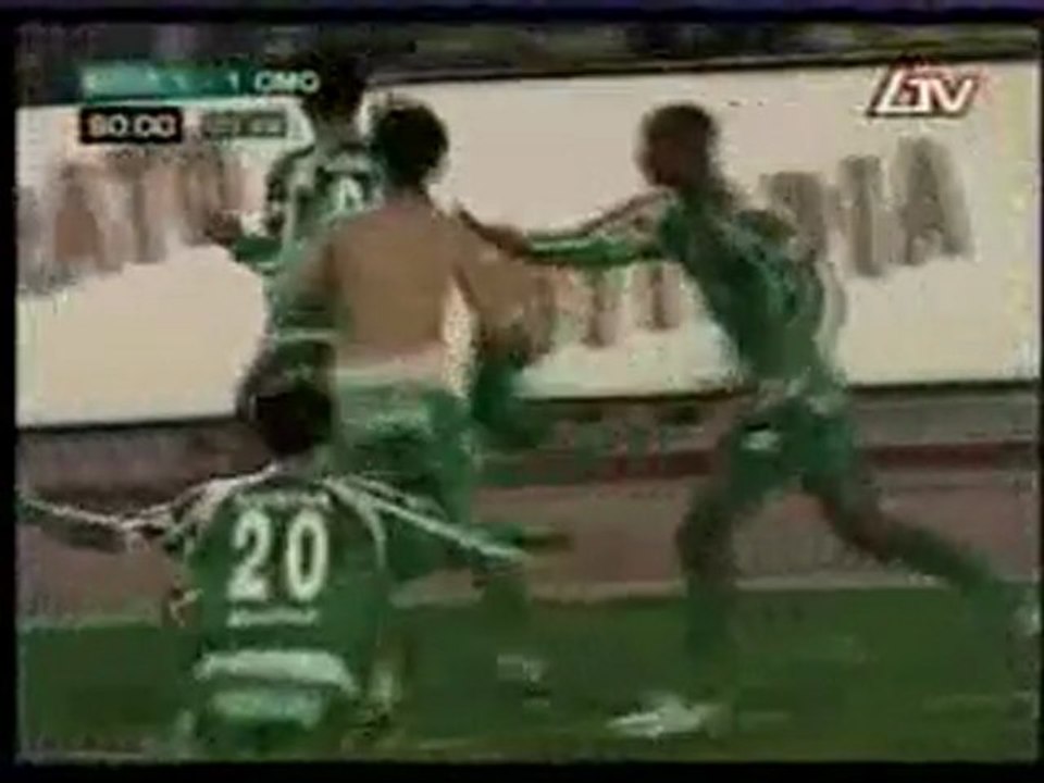 Stigmiotupa  apollon - Omonoia
