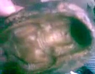 عبقرية الفراعنة تمثال يتحرك بكل الاتجاهات