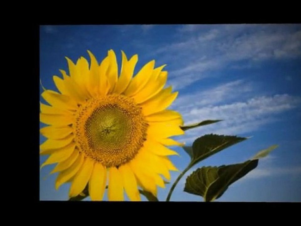 Positive Thinking The Power Of Thinking