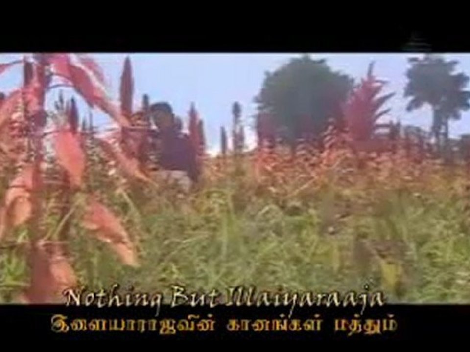 Poonguyil Rendhu...PAKEE Creation