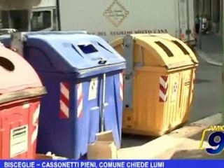 Bisceglie   Cassonetti pieni, comune chiede lumi