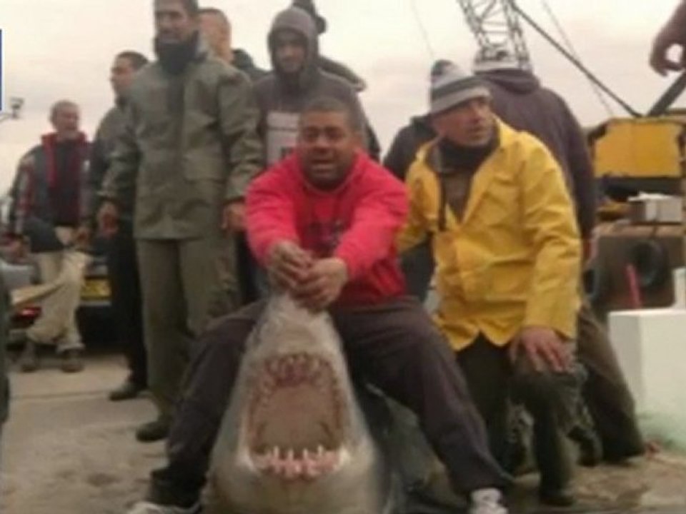 Fishermen in Acre catch shark