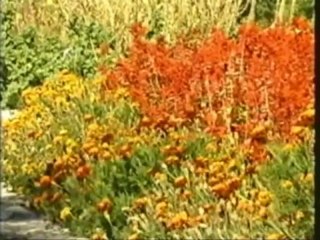MEDJUGORJE. Un mensaje del cielo en Español...- 02. Historial - YouTube