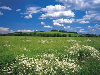 Мори тръгнали са малки моми