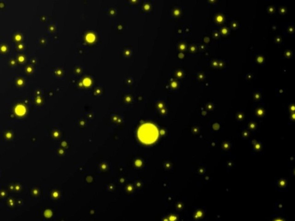 Spinnfischen auf Forelle - Spin fishing for trout [HD]