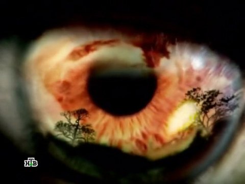 Инопланетяне в Ростове-на-Дону