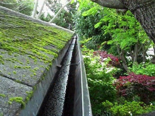 Berkeley CA - Berkeley Gutter Company