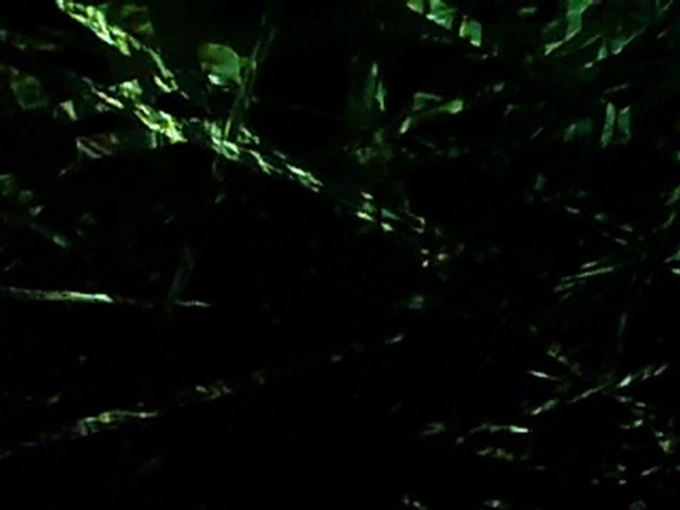 Yann Kersalé - Sept fois plus à l'Ouest 3